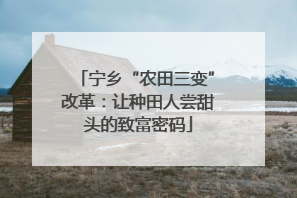 宁乡“农田三变”改革：让种田人尝甜头的致富密码