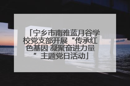 宁乡市南雅蓝月谷学校党支部开展“传承红色基因 凝聚奋进力量”主题党日活动