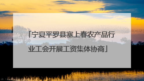 宁夏平罗县塞上春农产品行业工会开展工资集体协商