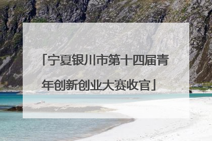 宁夏银川市第十四届青年创新创业大赛收官