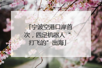 宁波空港口岸首次，四足机器人“打飞的”出海