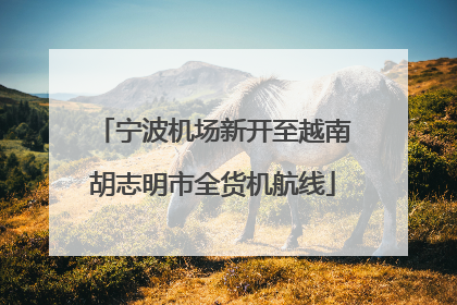 宁波机场新开至越南胡志明市全货机航线