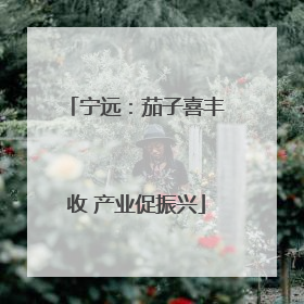 宁远：茄子喜丰收 产业促振兴