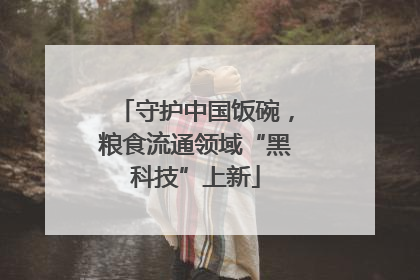守护中国饭碗，粮食流通领域“黑科技”上新