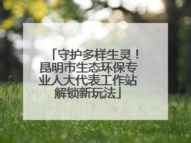 守护多样生灵！昆明市生态环保专业人大代表工作站解锁新玩法