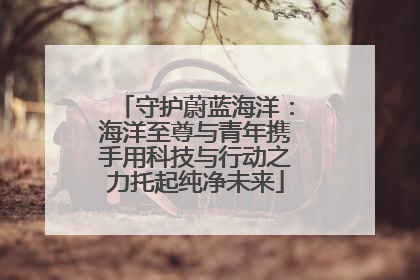 守护蔚蓝海洋：海洋至尊与青年携手用科技与行动之力托起纯净未来