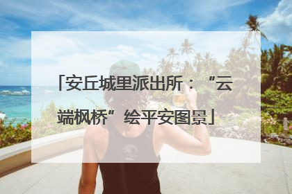 安丘城里派出所：“云端枫桥”绘平安图景