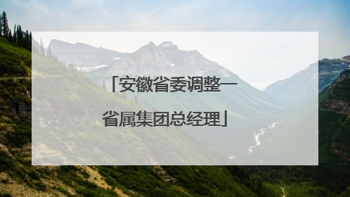 安徽省委调整一省属集团总经理
