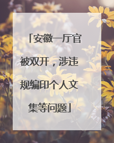 安徽一厅官被双开，涉违规编印个人文集等问题