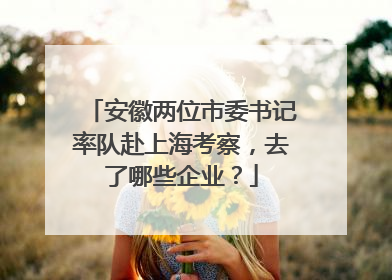 安徽两位市委书记率队赴上海考察，去了哪些企业？