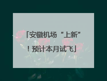 安徽机场“上新”！预计本月试飞