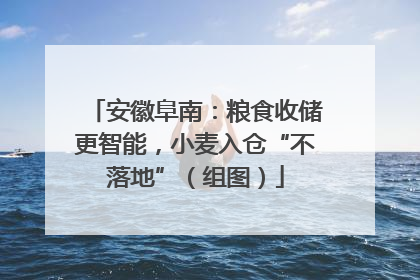 安徽阜南：粮食收储更智能，小麦入仓“不落地”（组图）