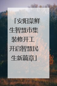 安阳菜鲜生智慧市集装修开工 开启智慧民生新篇章