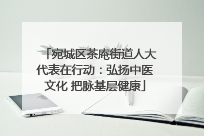 宛城区茶庵街道人大代表在行动：弘扬中医文化 把脉基层健康