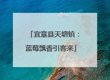 宜章县天塘镇：蓝莓飘香引客来