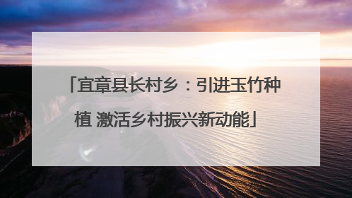 宜章县长村乡：引进玉竹种植 激活乡村振兴新动能