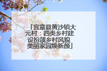 宜章县黄沙镇大元村：四类乡村建设扮靓乡村风貌 美丽家园焕新颜