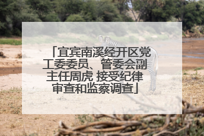 宜宾南溪经开区党工委委员、管委会副主任周虎 接受纪律审查和监察调查