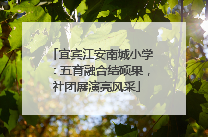 宜宾江安南城小学：五育融合结硕果，社团展演亮风采
