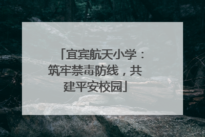 宜宾航天小学：筑牢禁毒防线，共建平安校园