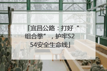 宜昌公路：打好“组合拳”，护牢S254安全生命线
