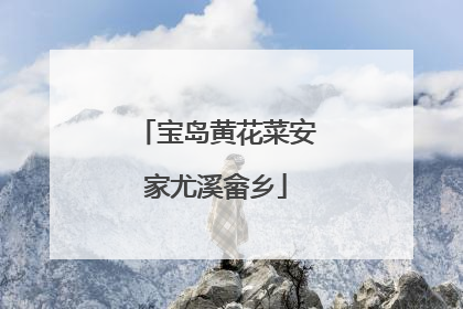 宝岛黄花菜安家尤溪畲乡