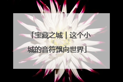 宝藏之城｜这个小城的音符飘向世界