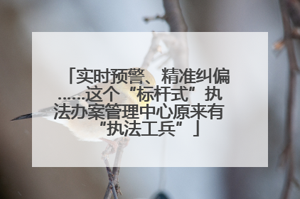 实时预警、精准纠偏……这个“标杆式”执法办案管理中心原来有“执法工兵”