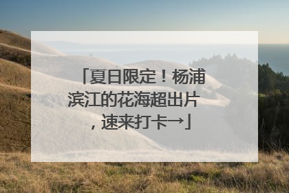 夏日限定！杨浦滨江的花海超出片，速来打卡→