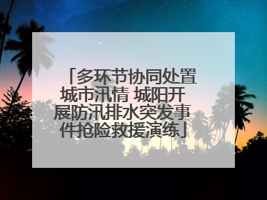 多环节协同处置城市汛情 城阳开展防汛排水突发事件抢险救援演练