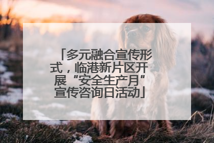 多元融合宣传形式，临港新片区开展“安全生产月”宣传咨询日活动