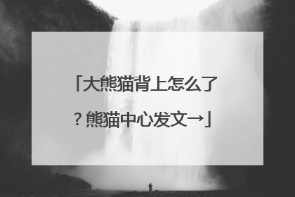 大熊猫背上怎么了？熊猫中心发文→