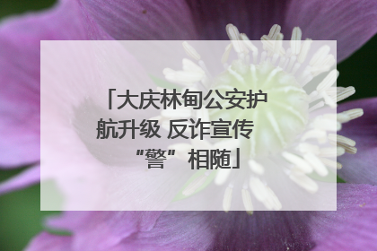 大庆林甸公安护航升级 反诈宣传“警”相随