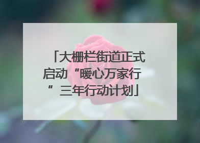 大栅栏街道正式启动“暖心万家行”三年行动计划