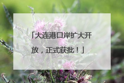 大连港口岸扩大开放，正式获批！