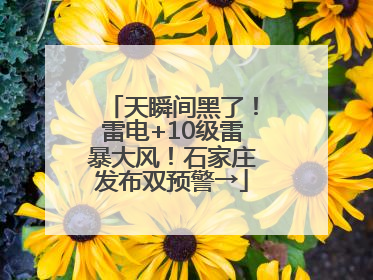 天瞬间黑了！雷电+10级雷暴大风！石家庄发布双预警→