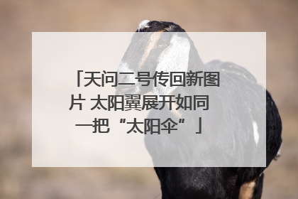 天问二号传回新图片 太阳翼展开如同一把“太阳伞”