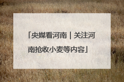 央媒看河南｜关注河南抢收小麦等内容