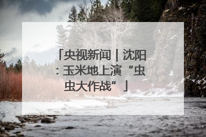 央视新闻｜沈阳：玉米地上演“虫虫大作战”