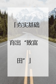 夯实基础育出“致富田”