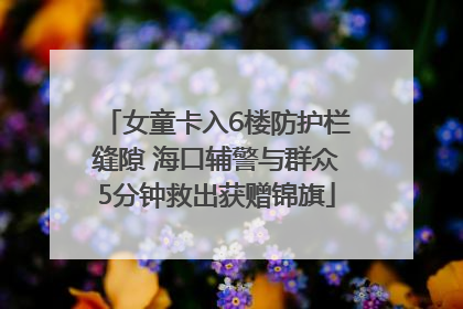 女童卡入6楼防护栏缝隙 海口辅警与群众5分钟救出获赠锦旗