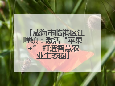 威海市临港区汪疃镇：激活“苹果+” 打造智慧农业生态圈