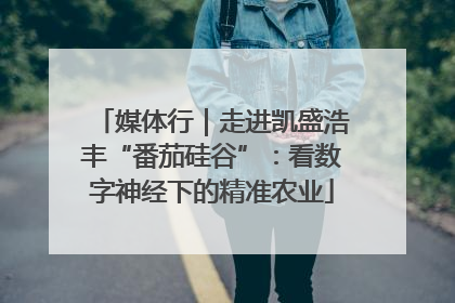 媒体行｜走进凯盛浩丰“番茄硅谷”：看数字神经下的精准农业