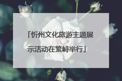 忻州文化旅游主题展示活动在繁峙举行