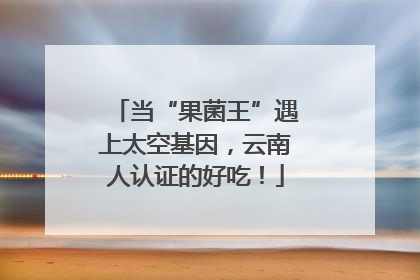 当“果菌王”遇上太空基因，云南人认证的好吃！