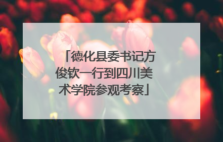 德化县委书记方俊钦一行到四川美术学院参观考察