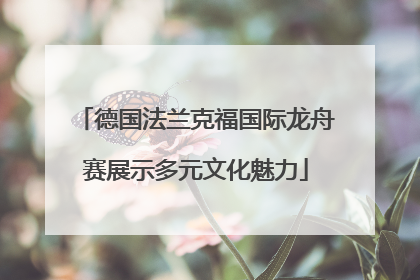 德国法兰克福国际龙舟赛展示多元文化魅力
