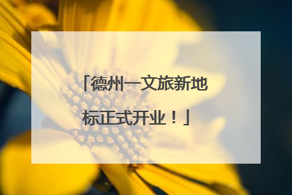 德州一文旅新地标正式开业！