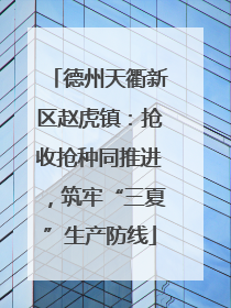 德州天衢新区赵虎镇：抢收抢种同推进，筑牢“三夏”生产防线