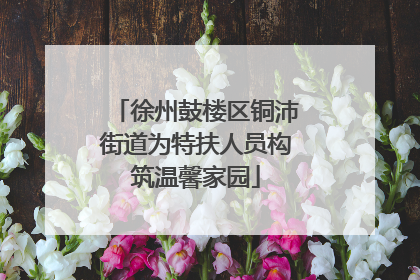 徐州鼓楼区铜沛街道为特扶人员构筑温馨家园